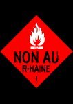 Sud CT Région Occitanie : L'extrême droite en tête des suffrages : un résultat menaçant mais pas irréversible