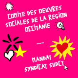 Sud CT Région Occitanie : Elections 2022 au COS - profession de foi SUD