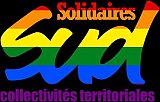 Sud CT Région Occitanie : Marches des fiertés 2024 en Occitanie