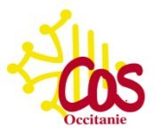 Sud CT Région Occitanie : Le Comité des Oeuvres Sociales de la Région Occitanie KESAKO ?